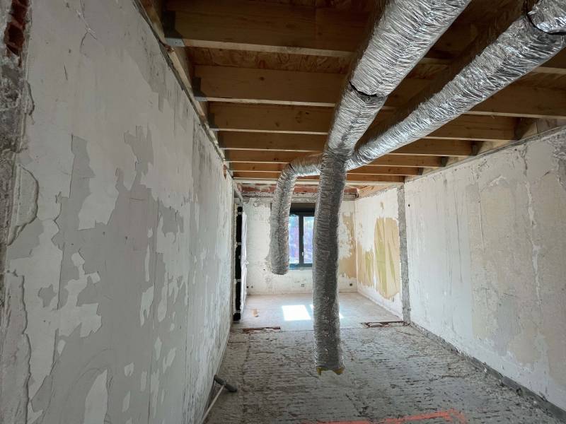 Gaines parcourant le plafond de la chambre