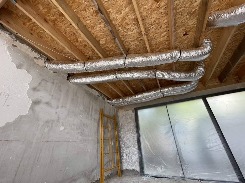 Gaines parcourant le plafond